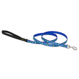 LupinePet Originals 1/2" Sea Glass 4-foot Padded Handle Leash for Small Pets