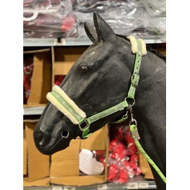 Equipride Horse Print Faux Lined Nylon Headcollars with Matching Lead Rope Mint Green (Shetland)