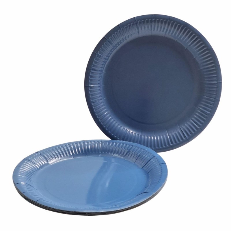 Pastel Round Paper Plates – 10 Pack – 23cm Disposable
