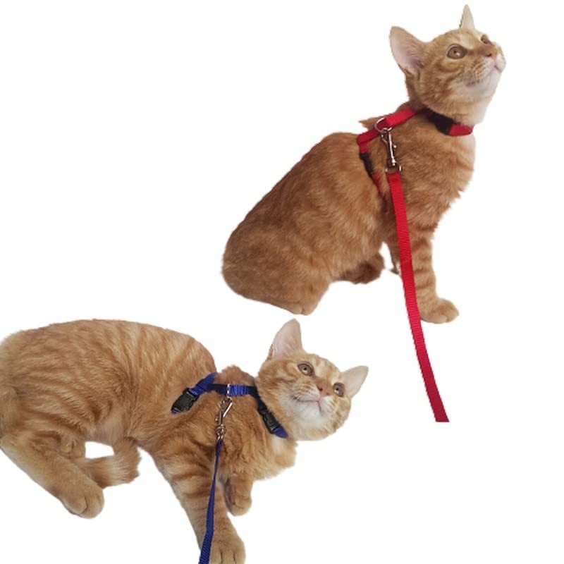 Plus Nao Lead Harness 2-Piece Set, For Cats, Pet Supplies,