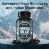 Kasha Purified Shilajit (120 capsules, 60-day supply) – Pure Himalayan