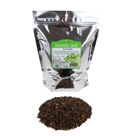 Bulk Organic Buckwheat Sprouting & Microgreens Seeds – 2 LB – Unhulled, Non-GMO – High-Germination Seeds for Fresh Sprouts, Nutritious Micro Greens, Hydroponic Growing, and Indoor Gardening