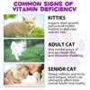 Cat Multivitamin - 15 in 1 Multivitamin Drops for Cats,