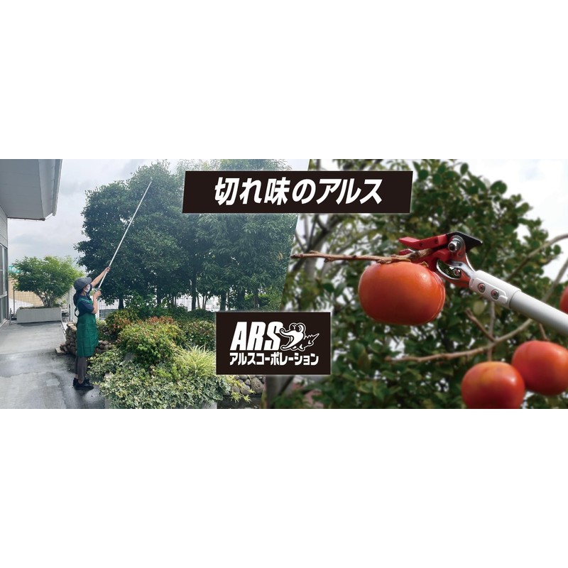 ARS LA-180ZR203 4-to-7-Feet Long Reach Pruner