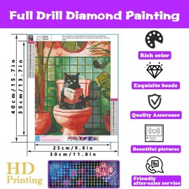 Qianbaiuk Diamond Painting Cat, Diamond Painting Adult Black Cat, Diamond Painting Kits for Gift and Home Wall Decoration (12 x 16 Inches)