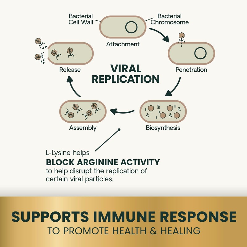 VetriScience Lysine Immunity Health Chews, 250 mg Lysine Plus Immune