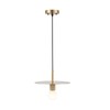 BYOLIIMA Modern Pendant Lighting Gold Farmhouse Pendant Light 11.81" Brushed