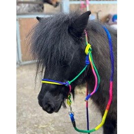 Equipride Rope Headcollar with Lead Rope Rainbow Coloured Size Full-Shetland (Shetland)