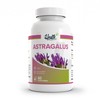 Health+ Astragalus - 50 percent polysaccharides per capsule - 90