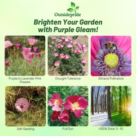 Outsidepride Purple Gleam California Poppy Seeds - 10000 Pcs. Annual, Drought-Tolerant & Easy to Grow Eschscholzia Wildflower Seeds for Vibrant Purple Blooms, Ideal for Borders & Pollinator Gardens