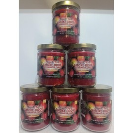 Smoke Odor Exterminator 13oz Jar Candle, Sugar Plum Pack of 6 Candles.