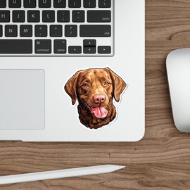 Chesapeake Bay Retriever Sticker Decal Vinyl Small Waterproof for Water Bottle Mug Passport Book Scrapbook Notebook Laptop Tumbler Skateboard Computer Phone Size Funny Gift Car Stickers ID44990