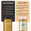 Sea Moss Gel Pineapple Mango Sea Moss Superfood 92 Minerals