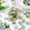 Whaline 600Pcs Silk Rose Petals Sage Green Flower Petals Artificial