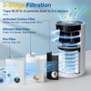 D10 Replacement Filter Compatible with Tailulu D10 Air Purifier, 3-in-1