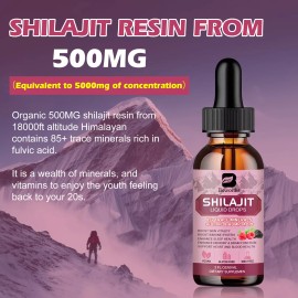 2x Organic Himalayan Shilajit Natural Pure Extremely Potent, Fulvic Acid 60ml US