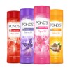 Ponds Dream Flower magic Talc 100gm