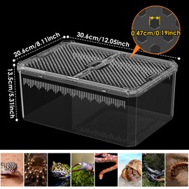 Breathable and Secure Reptile Tank with high Transparency - Ideal Container House for Hermit Crab, Tarantula Enclosure, Turtle Tank or Jumping Spider Habitat (L)
