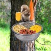 DEALSGOGO Removable Squirrel Feeders for Outside - Metal Squirrel Feeder
