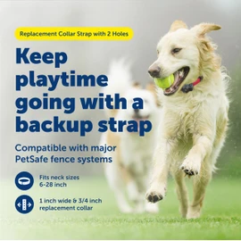 PetSafe Replacement Collar Strap with 2 Holes - Adjustable Design for In-Ground & Wireless Fence Collars - Lightweight Polyester - Secure, Comfortable Fit