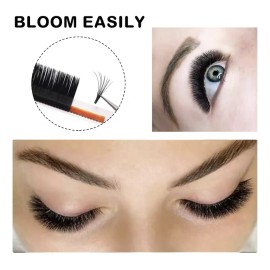 Blister Masskacu Easy Fan - Volumen - Autofloracion
