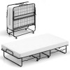 Costway Twin Size Folding Bed 38" x 75" Rollaway Guest