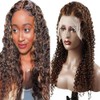 Lakaisa Curly Wave Glueless Human Hair Wig Real Hair Wig