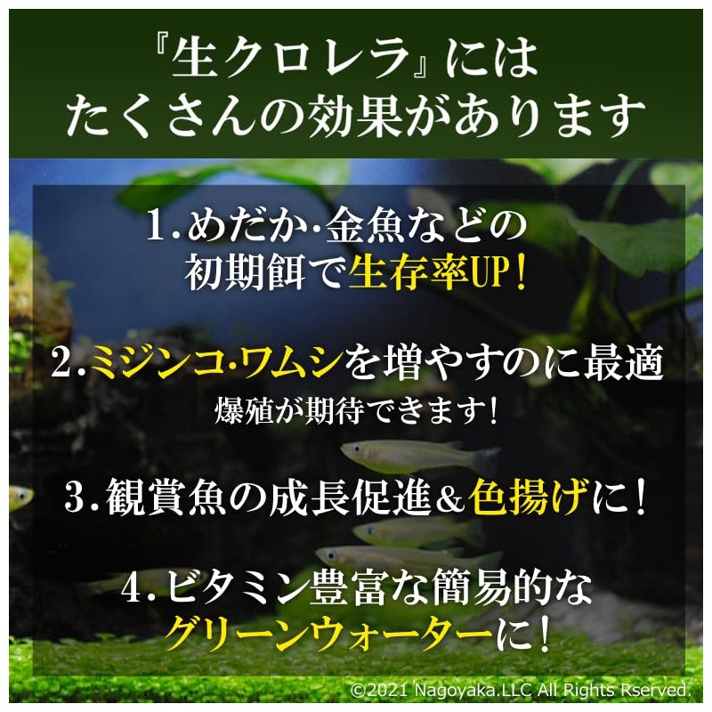 Waka Chlorella Trial Set, Raw Chlorella, Powdered Chlorella, Chlorella, Medaka,