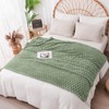 Vessia Flannel Fleece Throw Blanket, 3D Jacquard Sage Green Fuzzy