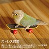Mini Skateboard Bird Toy Pet Supplies Parrot Bird Standing Training