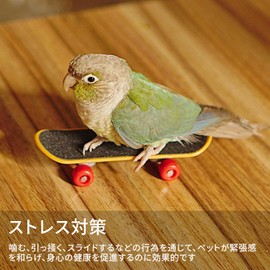 Mini Skateboard Bird Toy Pet Supplies Parrot Bird Standing Training Stress Relief Toy Educational Training Mini Toy
