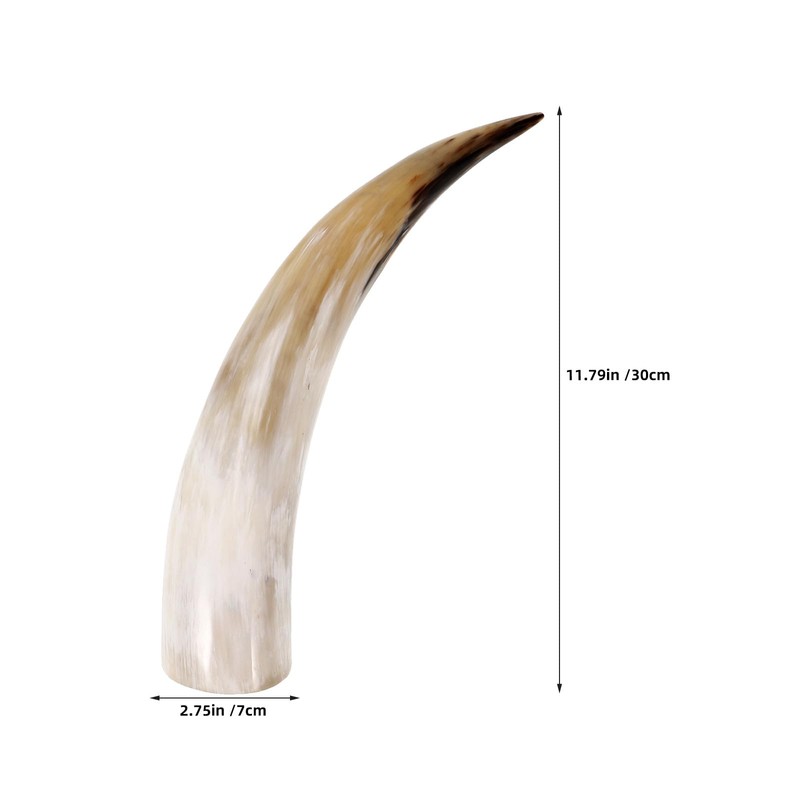 RUNROTOO 2Pcs Horn Wall Flower Vase: Natural Cow Horn Decorative