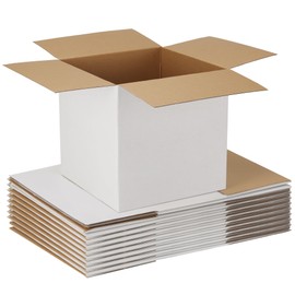 EXYGLO 10 Pack 12x12x12 Shipping Boxes for Small Business, White Corrugated Cardboard Small Box for Packaging, Moving, Mailing, and Storing