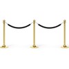 PATIKIL 8 Feet Black Velvet Stanchion Rope, Crowd Control Barrier