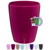 Santino ORCHIDEA Self-Watering Orchid Pot - 15CM Self-Watering Decorative Planter