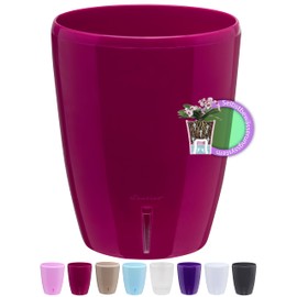 Santino ORCHIDEA Self-Watering Orchid Pot - 15CM Self-Watering Decorative Planter with Wick System and Water Level Indicator (Ø 15 cm, H 18 cm, 2L - Purple)