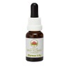 Gymea Lily 15 ml Stockbottle Australian Bush Flower Essences