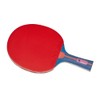 Nittaku NH5140 Table Tennis Racket Mima S2500 Shake Hand Paste