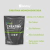 Wellthy Creatina Monohidrata 800g. 100% Pura, Sin Sabor, Sin Azúcar,