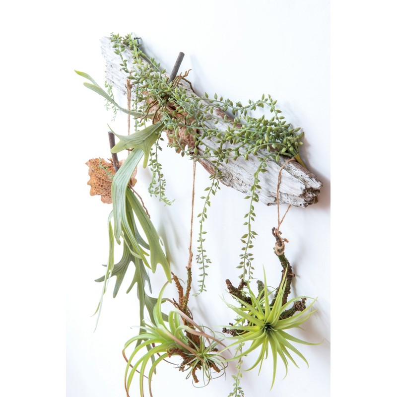 Posh Living 80916 Hanging Air Plant, Large, Green