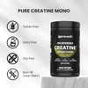Upnourish Monohidrato Creatina Micronizado Polvo 400 Vegano Sabor Preentrenamiento Desarrollo
