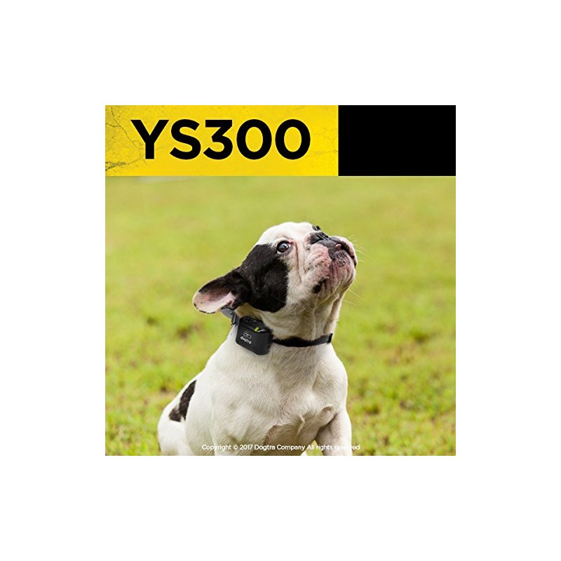 Dogtra No Bark Collar Small to Medium - YS300