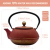 SECHUDO Cast Iron Teapot Tea Kettle with Stainless Steel Infuser