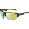 ALPINA LYRON HR Mirrored and Shatterproof Sports and Cycling Glasses