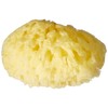 Poupy 246.6 Sponge Natural Sea