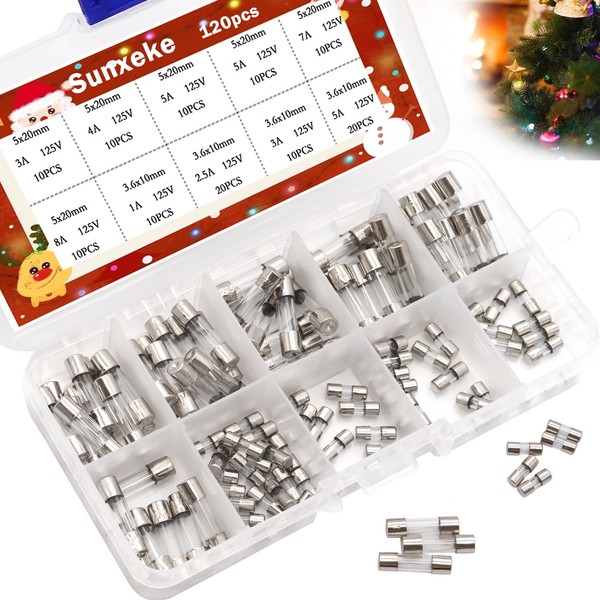 Sunxeke 120Pcs Christmas Light Fuses 9 Values 125V Fast Blow