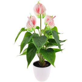 Folmywy Artificial Flower 15 Inch Anthurium Fake Plant Indoor Faux Simulation Tropical Flowers Pink in Plastic Pot Realistic Bonsai Greenery Table Centerpieces Shelf Decor Outdoor Garden