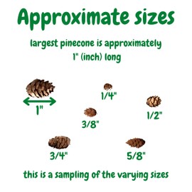 Natural Brown Pinecones - Approximately 1500 Pieces (2 lb. Bag) - Assorted Sized Real Pine Cones - Measures from ¼” to 1” H - See Photos
