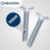 HEXATON M6 x 15mm Hex Socket Flat Head Screws -