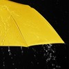 Duck Handle Umbrella - 3-Fold Umbrella,8 Ribs Umbrellas for Rain